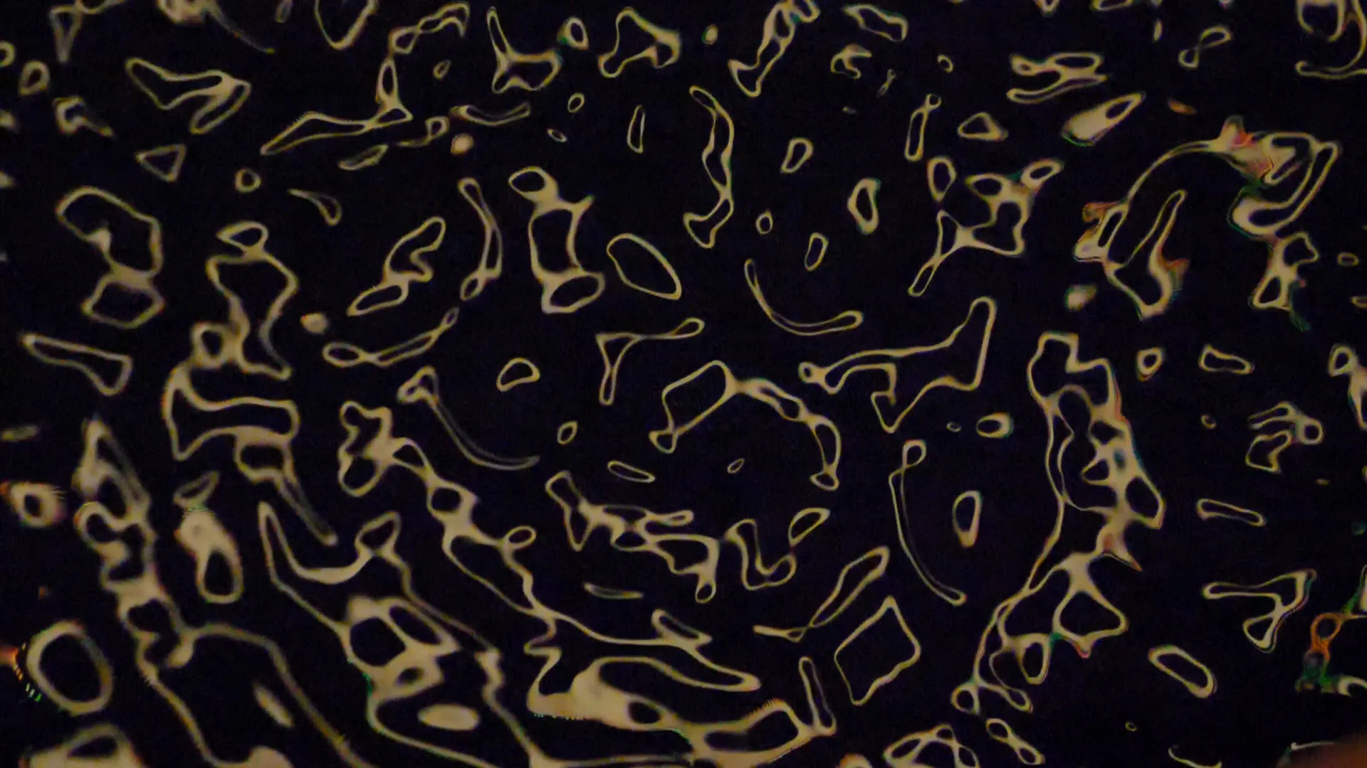 Cymatic study